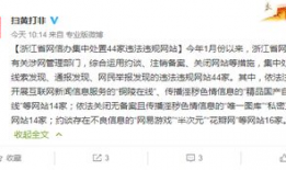 在线国产成人精品