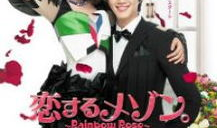 彩虹电视剧演员表,实力派演员阵容，演绎感人至深的情感故事