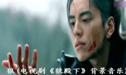 电视剧狼,乱世英雄的崛起之路