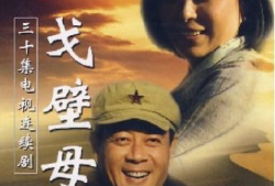 电视剧戈壁母亲,坚韧与爱的史诗